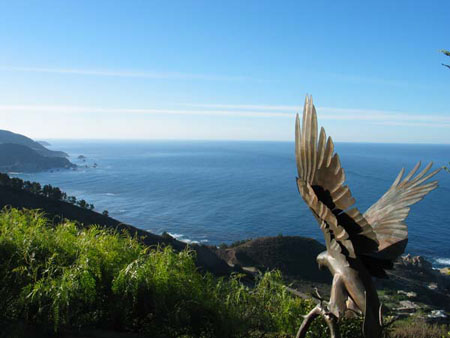 cleardayhawk